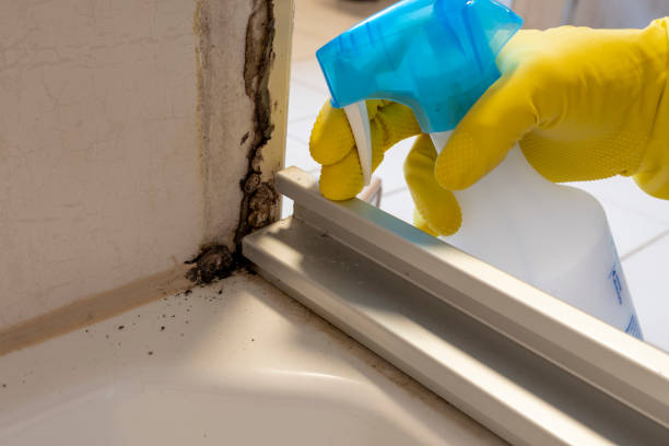 Best Mold Testing  in Crandon Lakes, NJ