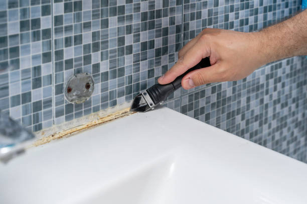 Best Mold Removal Near Me  in Crandon Lakes, NJ